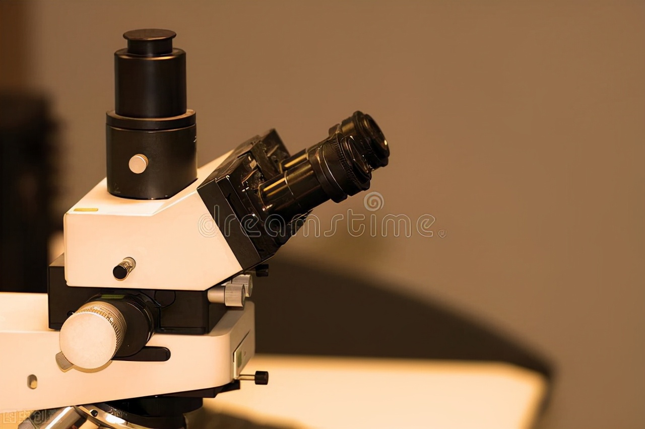 1996年英国浮尸案,1980年英国悬疑杀人抛尸案件