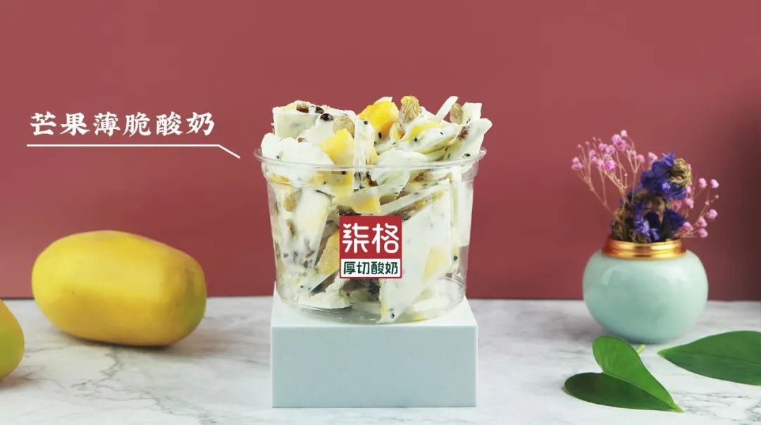 柒格厚切酸奶上海展会,柒格厚切酸奶批发