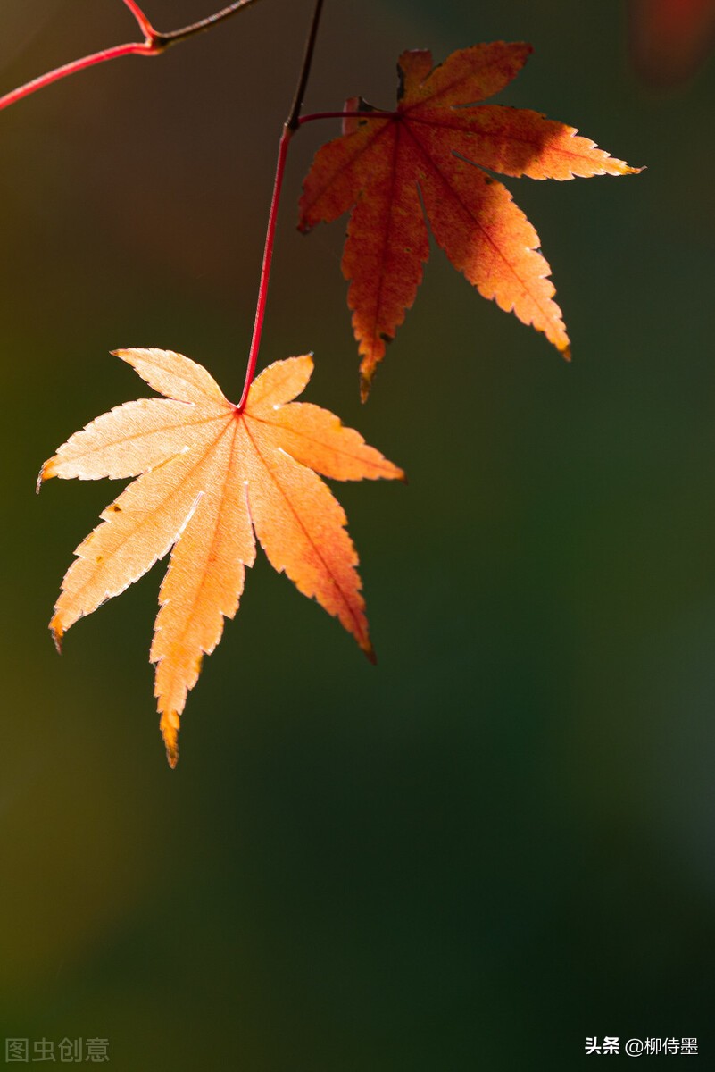 照片拍出来难看怎么修图,照片不能瞎拍