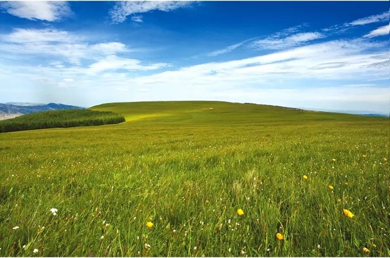 大同特色乡村旅游 (大同乡村旅游景点大全)