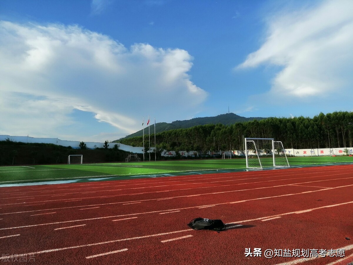 特殊类招生是指哪类考生,特殊类型招生有什么专业