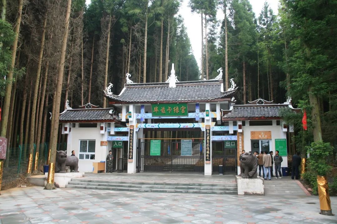 好多来黄水避暑的人,黄水康养