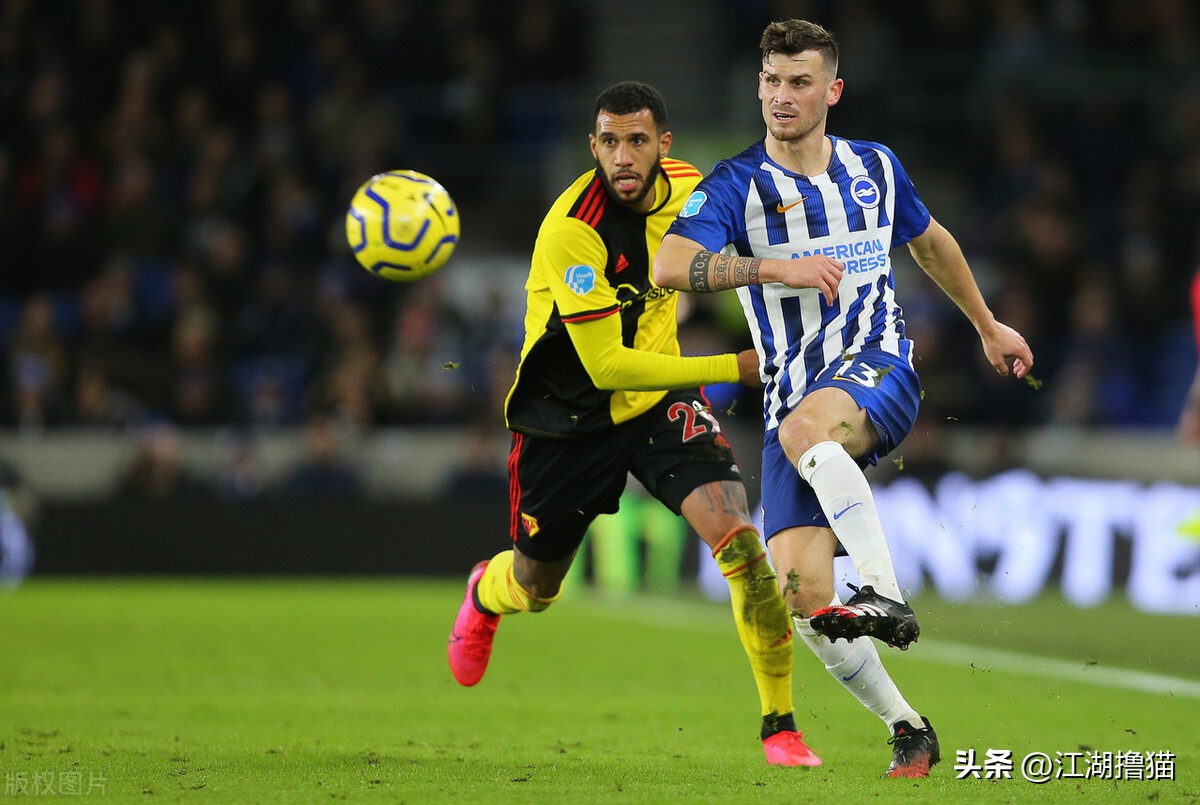 英超布莱顿vs利物浦赛事前瞻,英超纽卡斯尔vs布莱顿预测