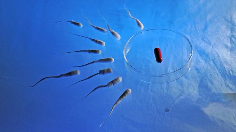 古代人没有避孕技术,古代没有环怎么避孕