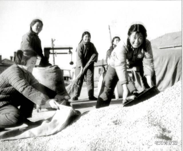 北大荒知青生活叙事诗——北大荒“游击词”100篇