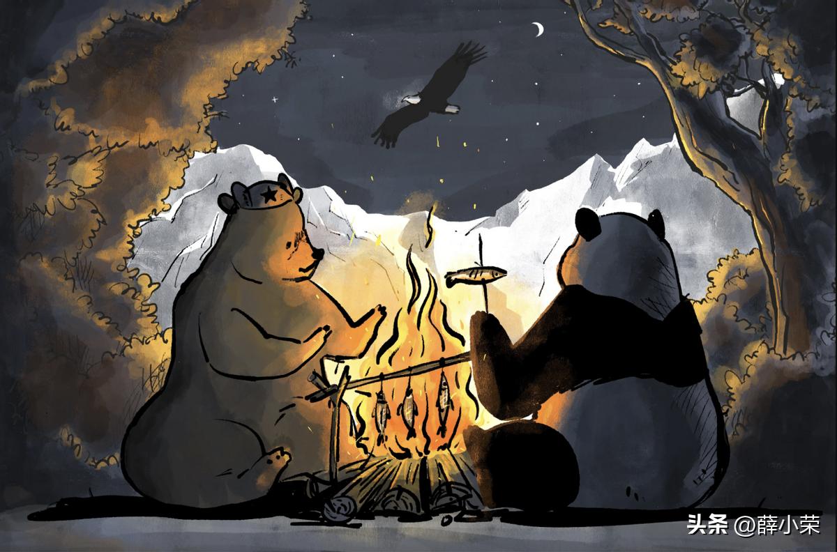 中俄关系最新定义,中俄关系的最新消息