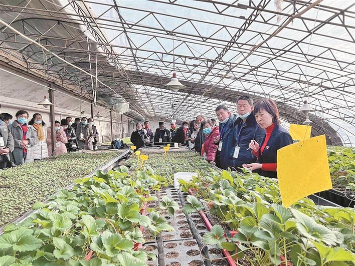 兵团科技工作者创新创业,兵团科技