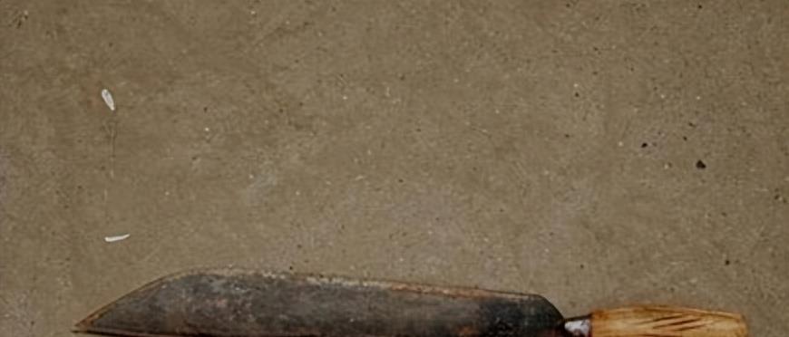 男子强奸嫂子获刑9年,男子强奸大嫂时获刑