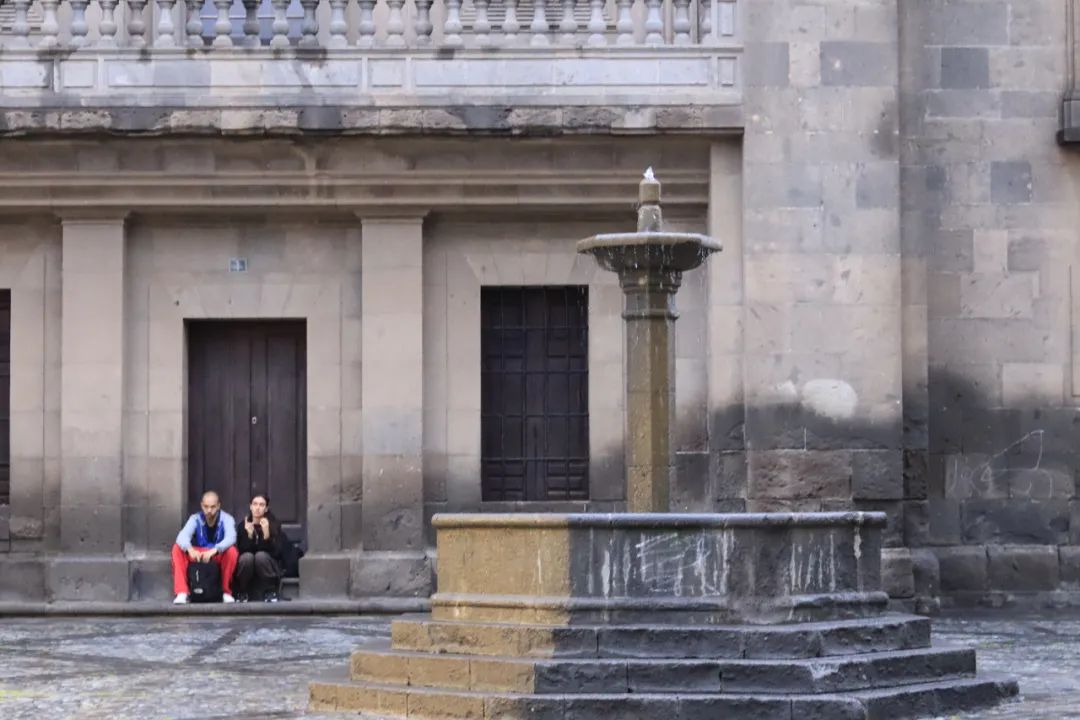 哥伦布第二次到美洲带去的作物,哥伦布带到美洲的东西