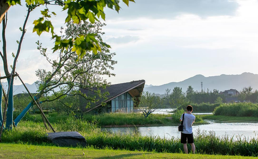 typology涓枃,typology