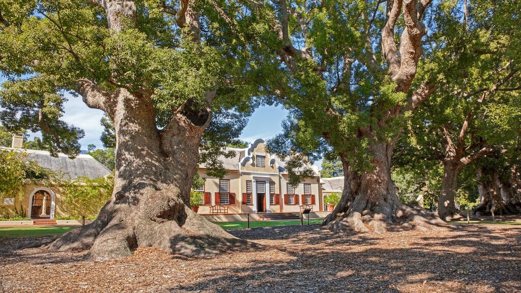 “砖”助多边，南非非同寻常