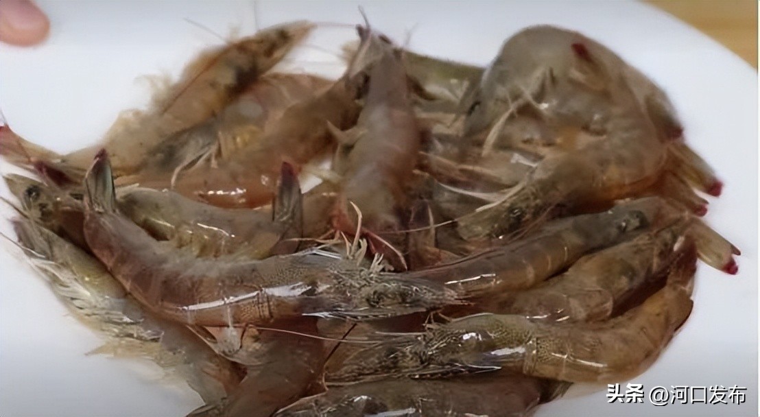 为什么虾头蓝色不能吃,虾头到底是黄还是屎