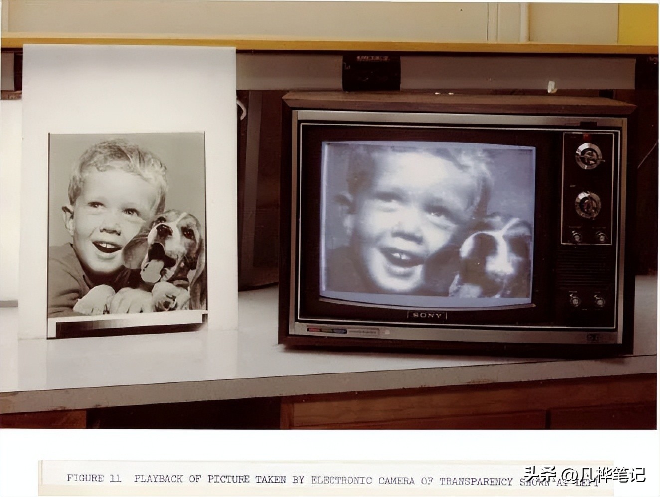 数码相机是如何把人像显示出来的,数码相机是如何测光