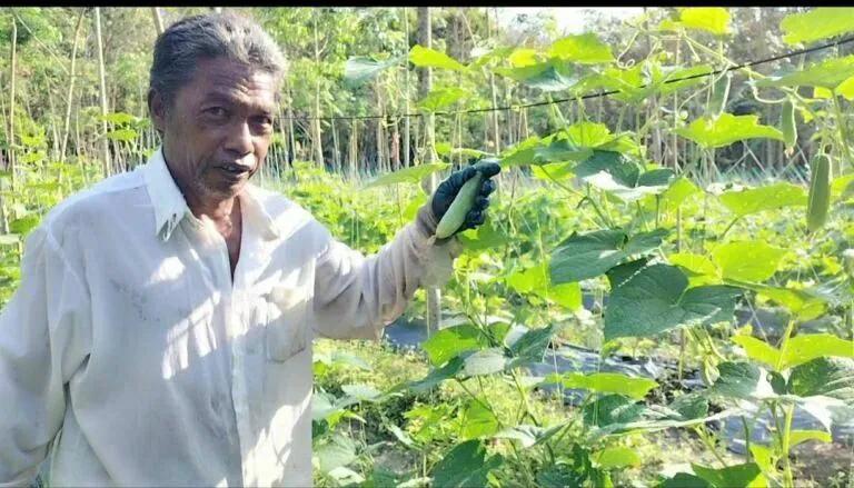 奥德赛前往下一个国家按哪个键,奥德赛前往下一个国家