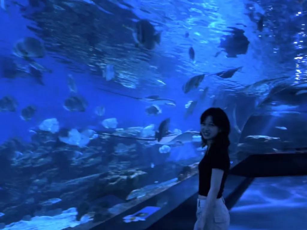 海昌极地海洋公园99元夜场票,海昌海洋极地公园攻略