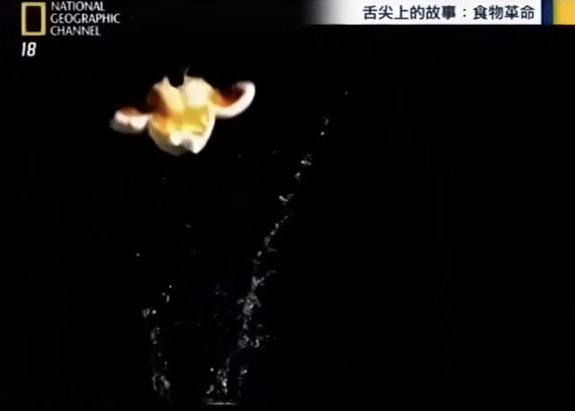 分子料理在家怎么做,大理石牛肉分子料理