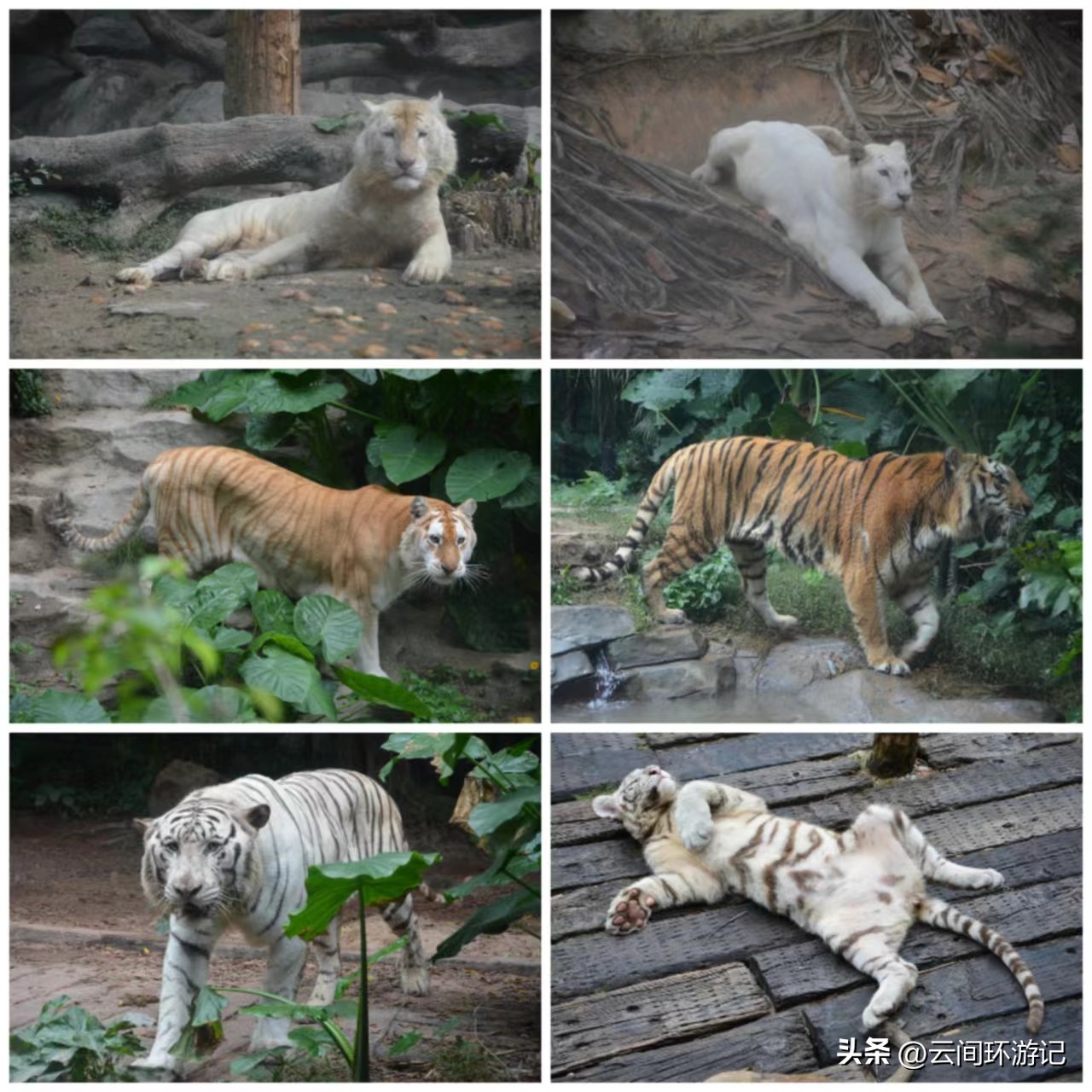 探寻广州历史,广州市羊城的来历