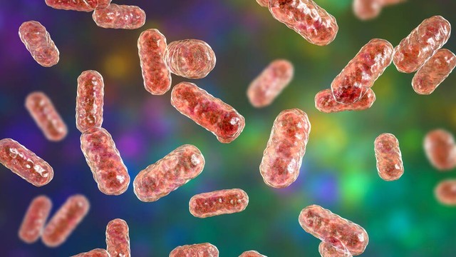 如何区分炎症感染,炎症和感染之间的关系