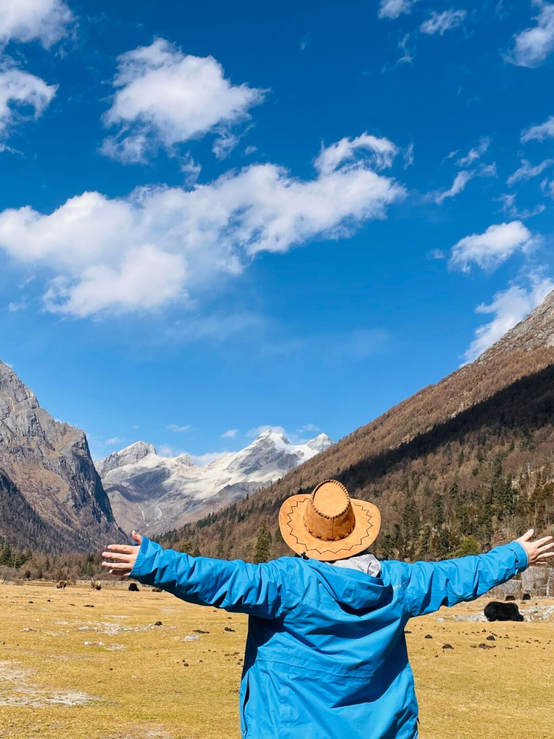 成都去西藏3天往返,成都去西藏不重复路线