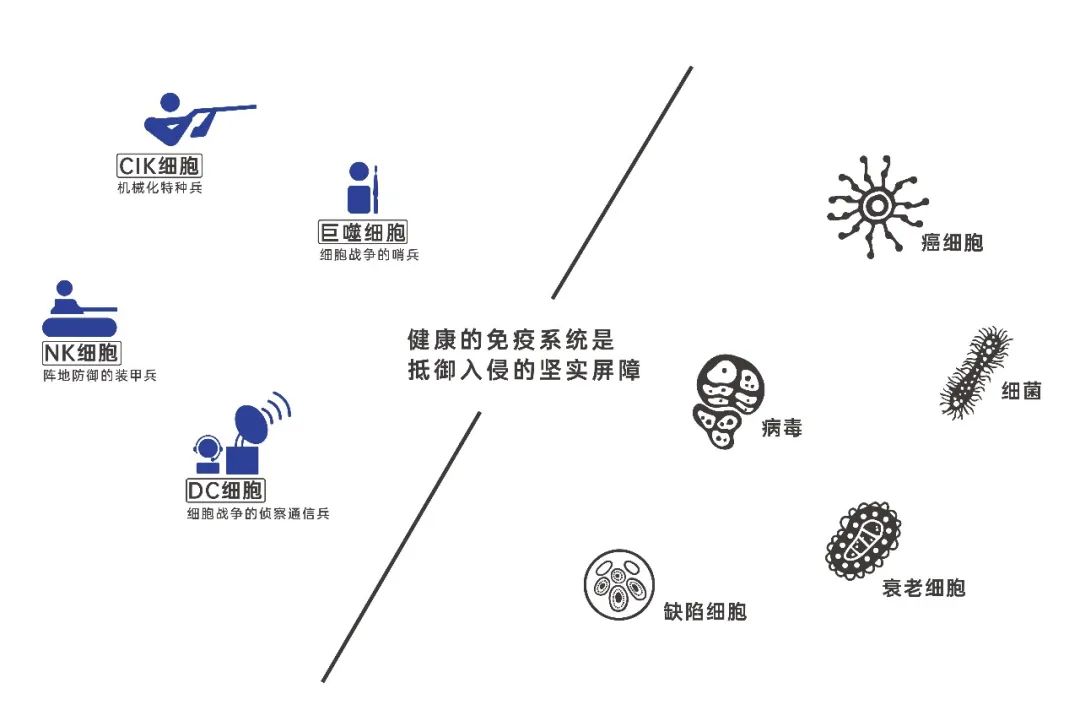 21世纪是基因的时代,细胞治疗时代已经到来