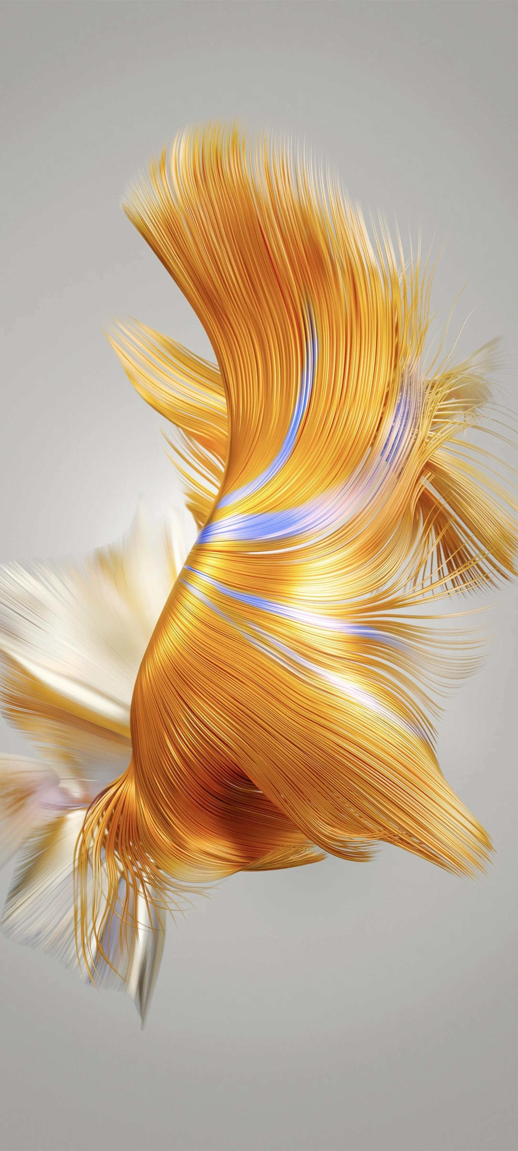 华为高清壁纸4k全屏60帧,华为最新款最高清全屏手机壁纸