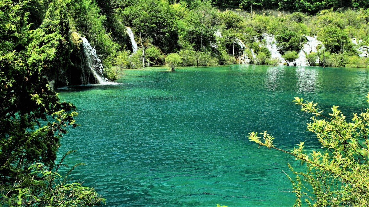 吃什么药补肾最快最好,吃什么药补肾壮阳最好