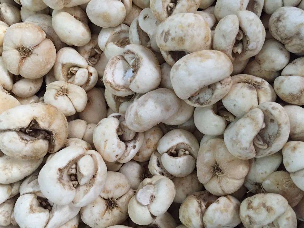 仅含3味中药，就能散尽各种结节、囊肿、肌瘤！效果很好，请收藏