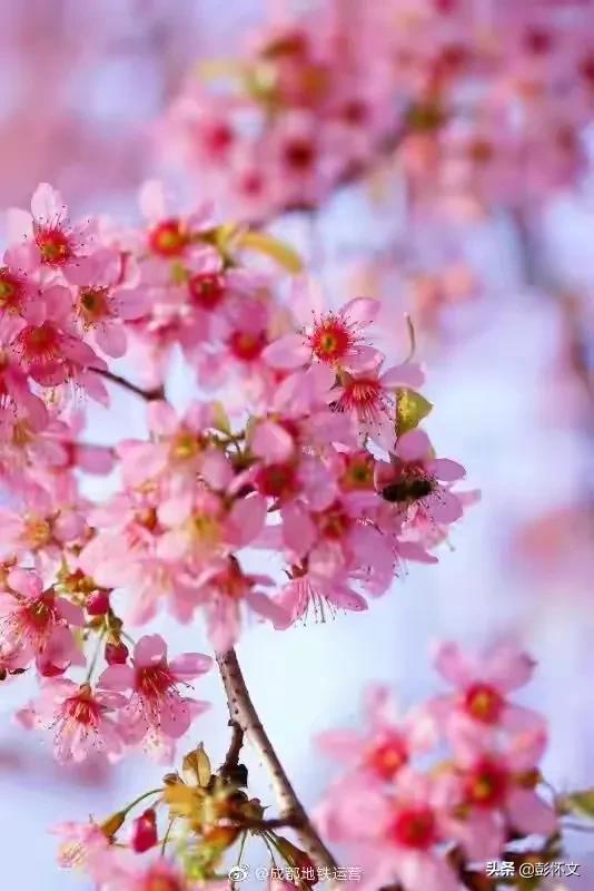 财税2022年14号解释,财税2022年14号解读