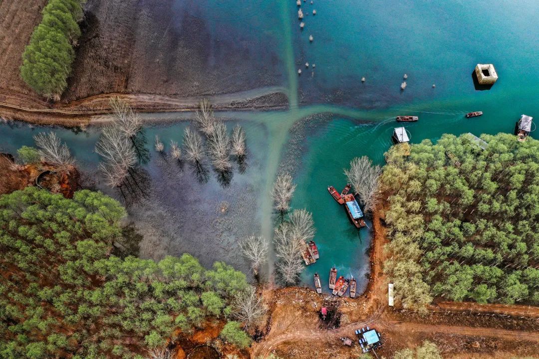 迎接党的20大美术作品,喜迎二十大乡村摄影展