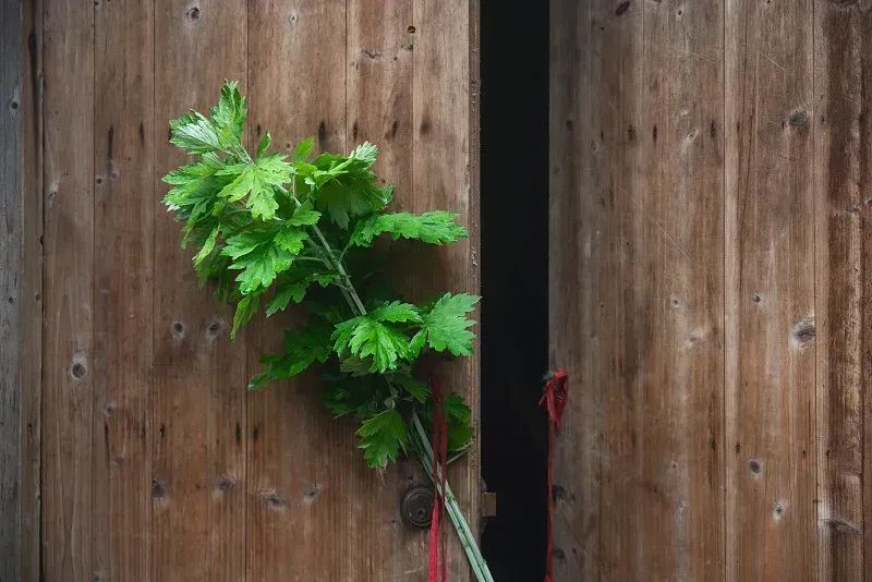 中国的传统节日端午节纪念什么,春节元宵节端午节是传统节日吗