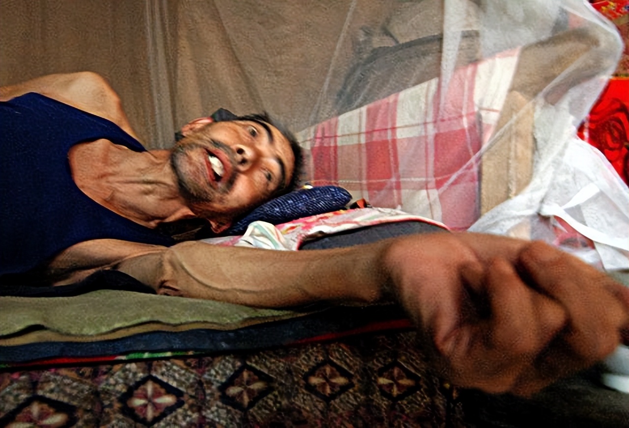 癌症患者吃哪种鱼最好,这五种鱼吃了会得癌