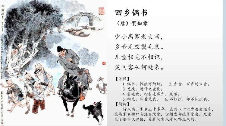 气笑了,这APP的年度报告是在嘲讽我吧