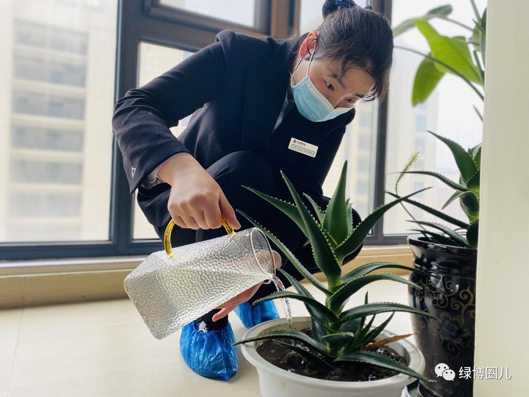 郑州目前口碑最好的物业公司,郑州产业园物业哪家好