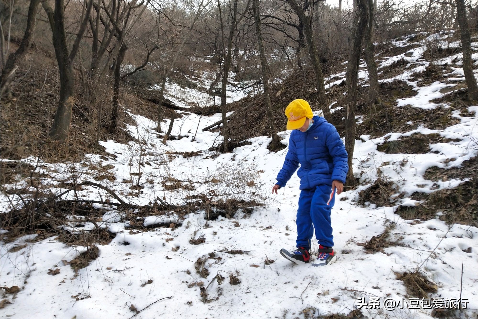 八达岭北京野生动物园推荐,两个人花100块钱能在北京玩多少