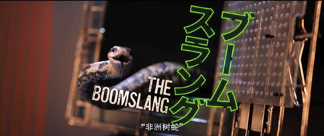 这部“R级片”，票房已破15亿，细扒这部电影，剧情画面太抓眼球