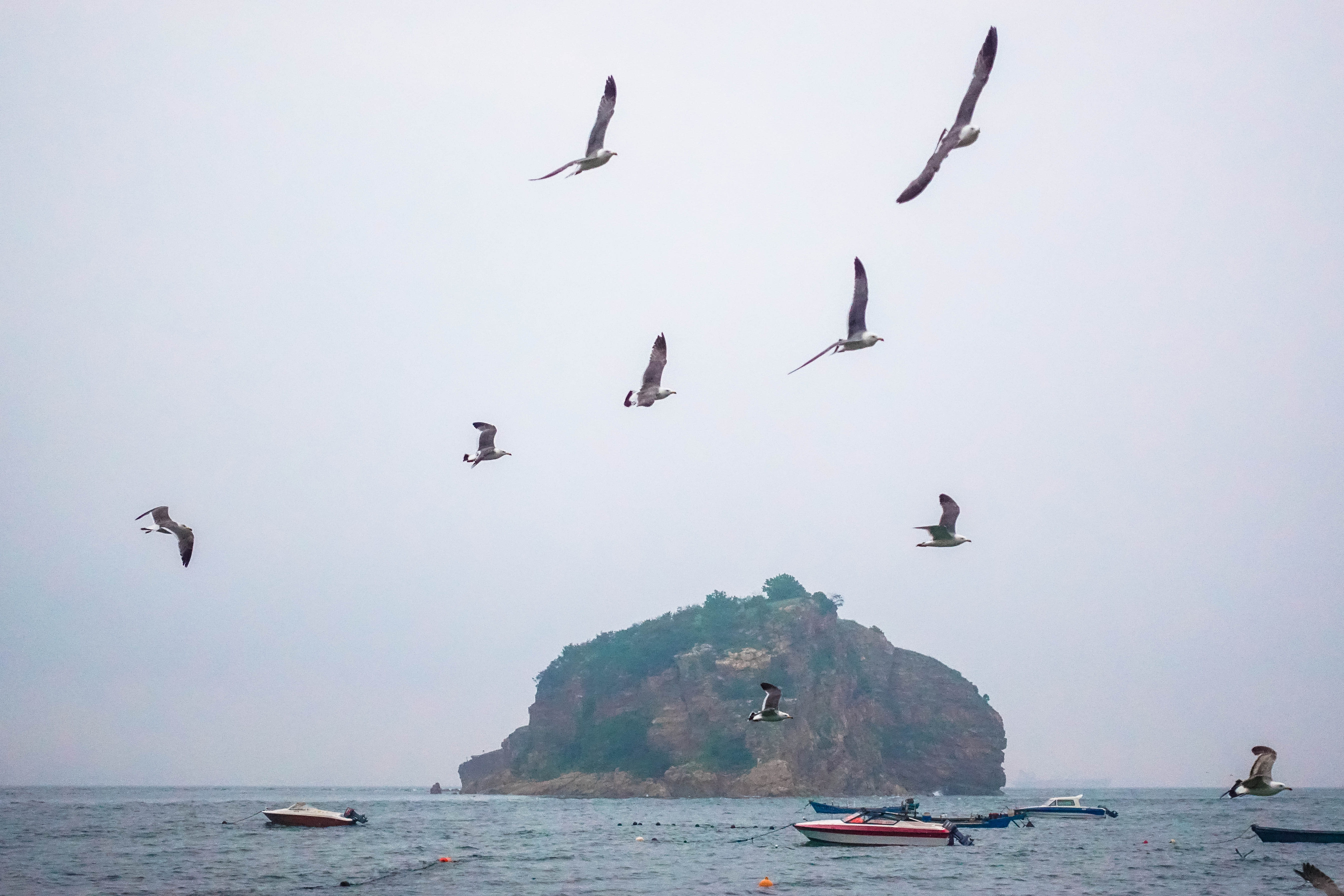 行摄华夏系列(38)——浪漫之都大连(四)