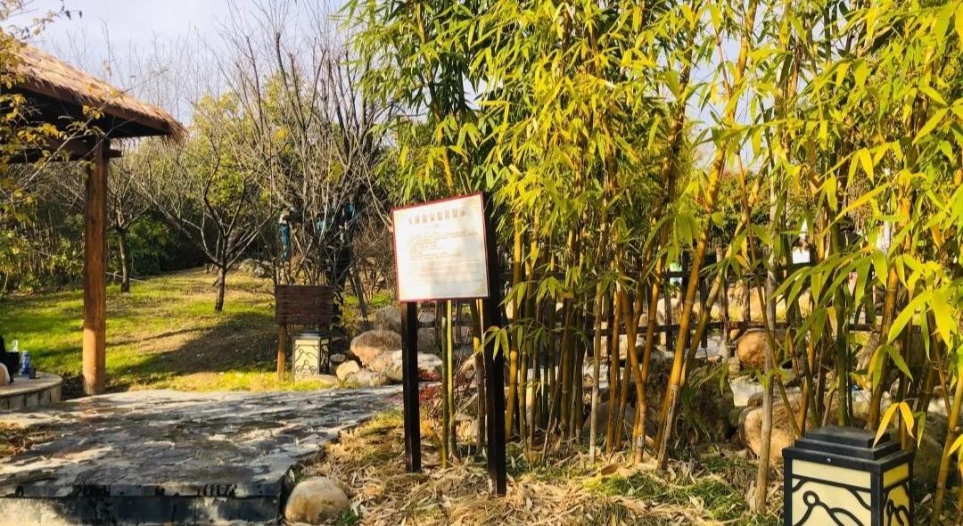 荆门周边温泉度假村排名,荆门温泉度假村