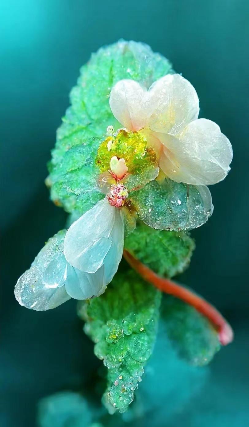 三毛流浪记三毛对幸福的定义,关于幸福的多种说法