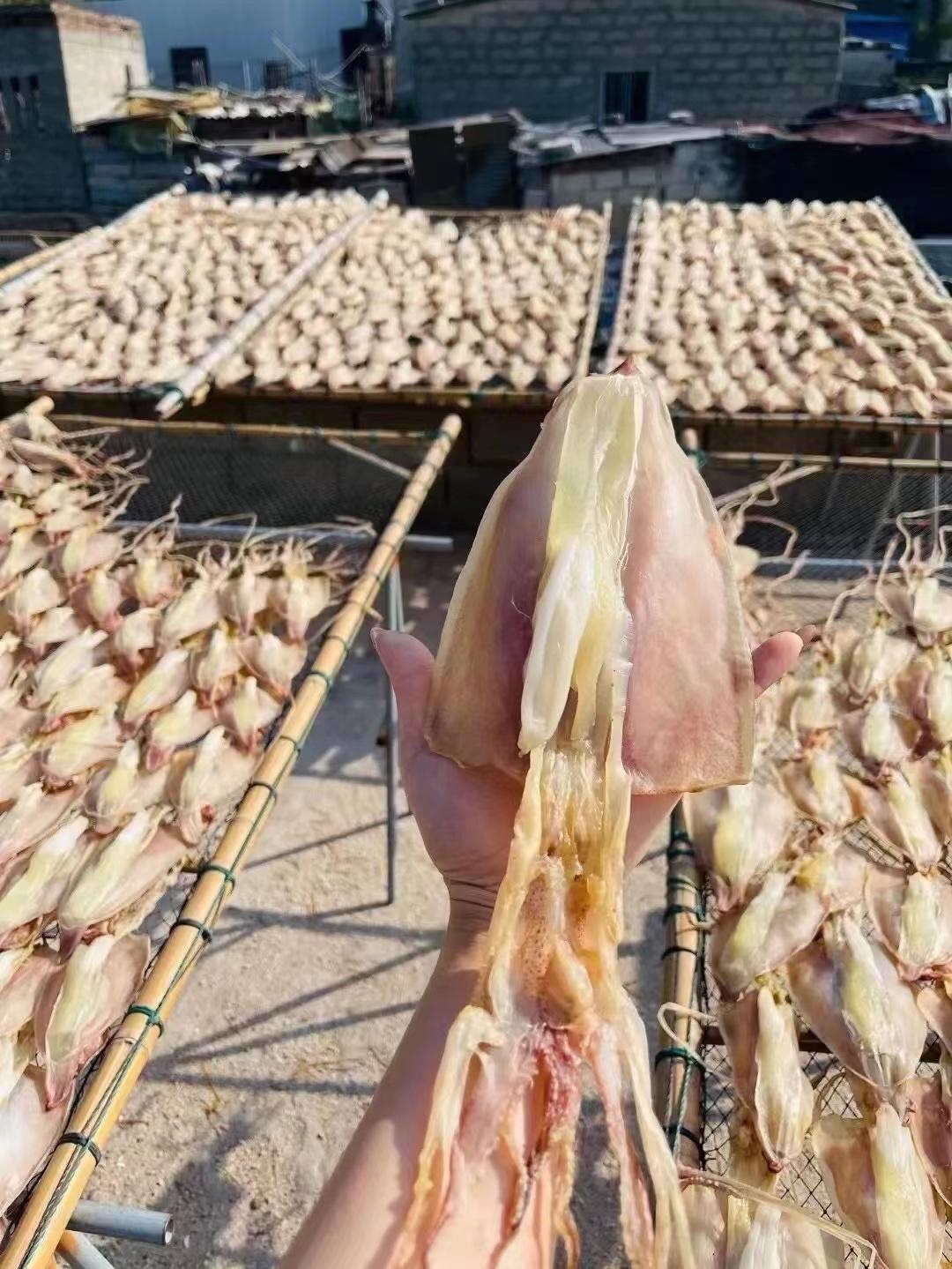 东山岛本地鱿鱼干无盐,手工淡晒海鲜原产地鱿鱼干