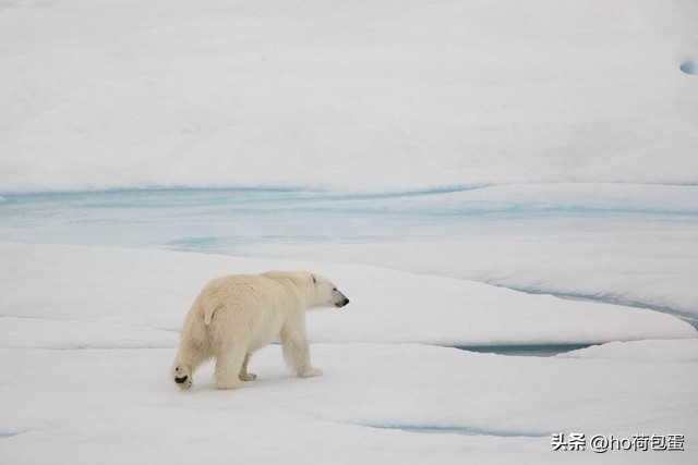 一些加拿大人才知道的冷知识,加拿大路易斯湖冷知识