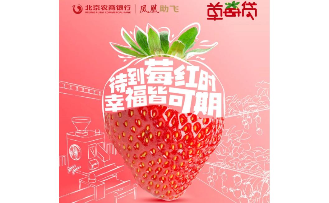 农贷通乡村振兴农业发展贷款,农商行贷款地推