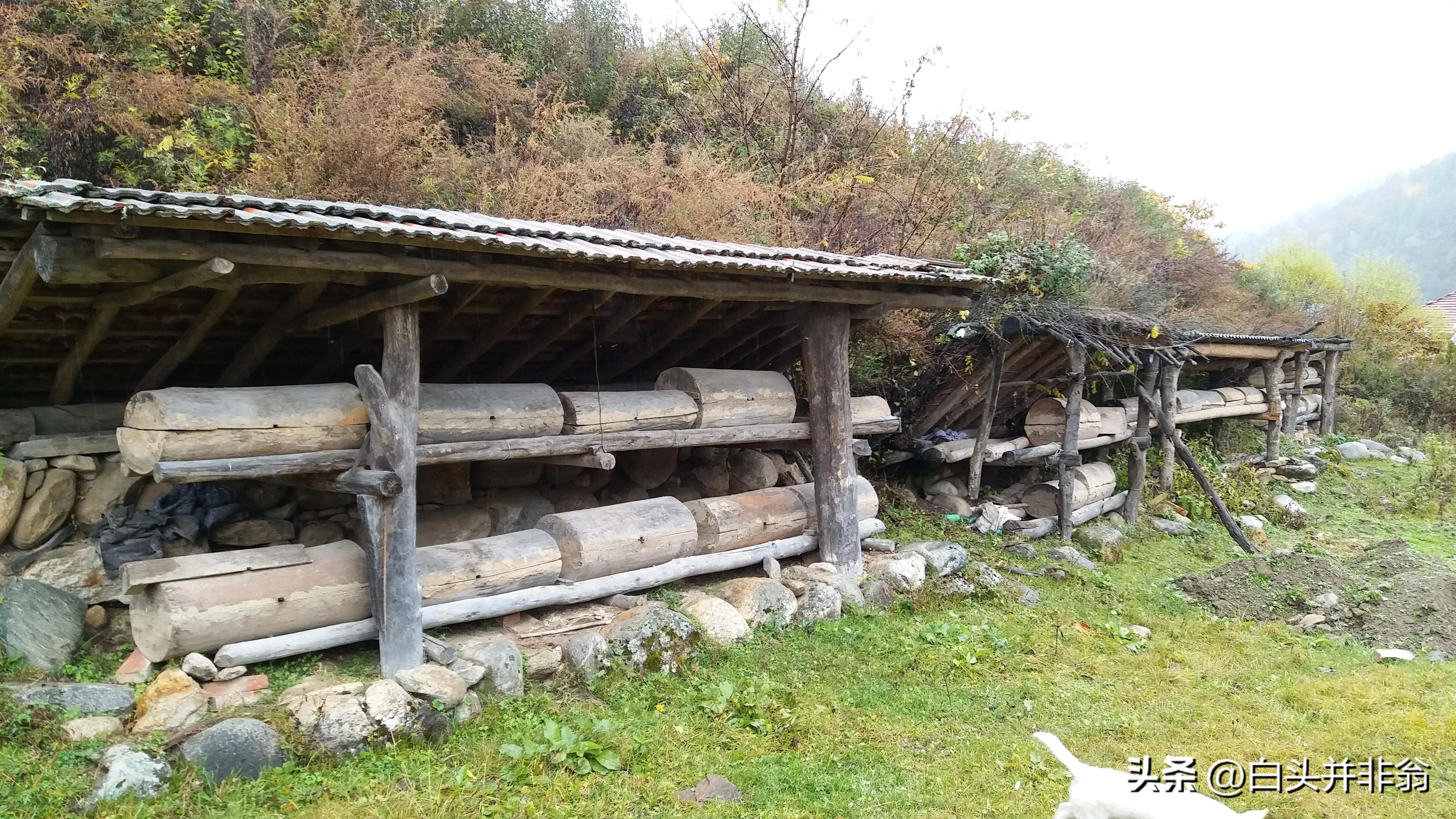 周至老县城景区,周至县老县城属于哪个市