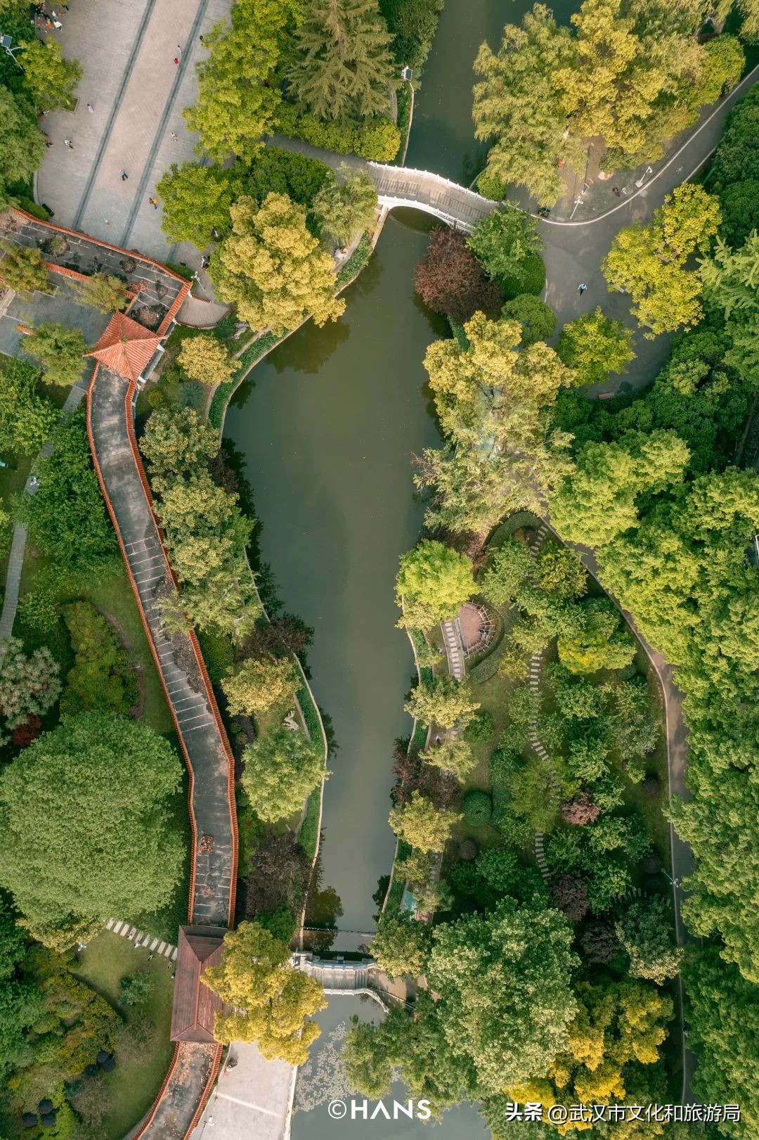 离武汉人最近的湿地，家楼下的10个宝藏小湖