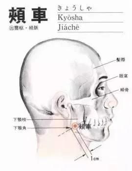 颊车穴治牙疼最快的穴位图,牙痛降火最快的穴位颊车穴在哪里