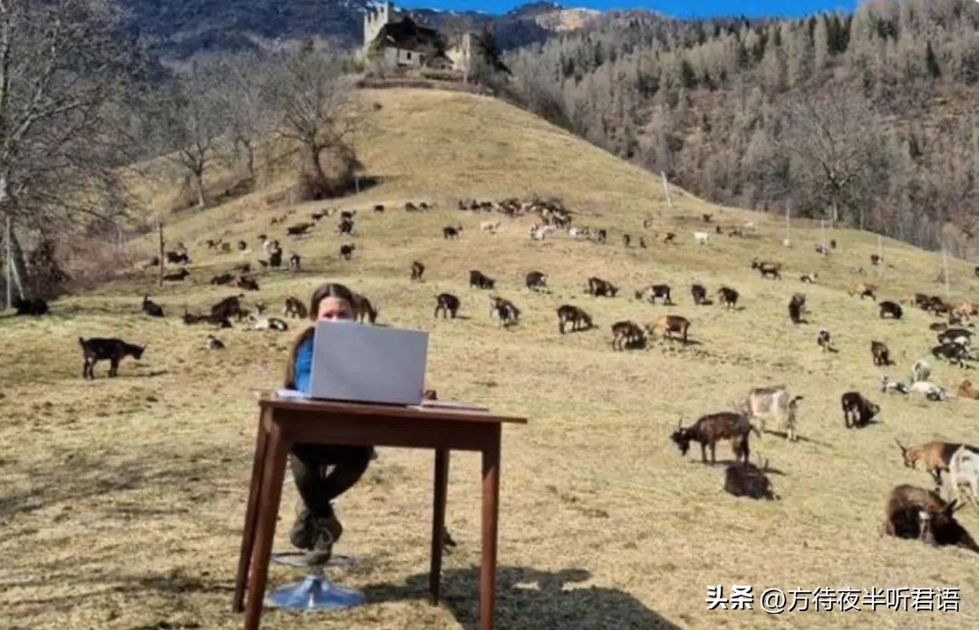 100张老照片见证世事沧桑,难得一见的老照片岁月是把杀猪刀