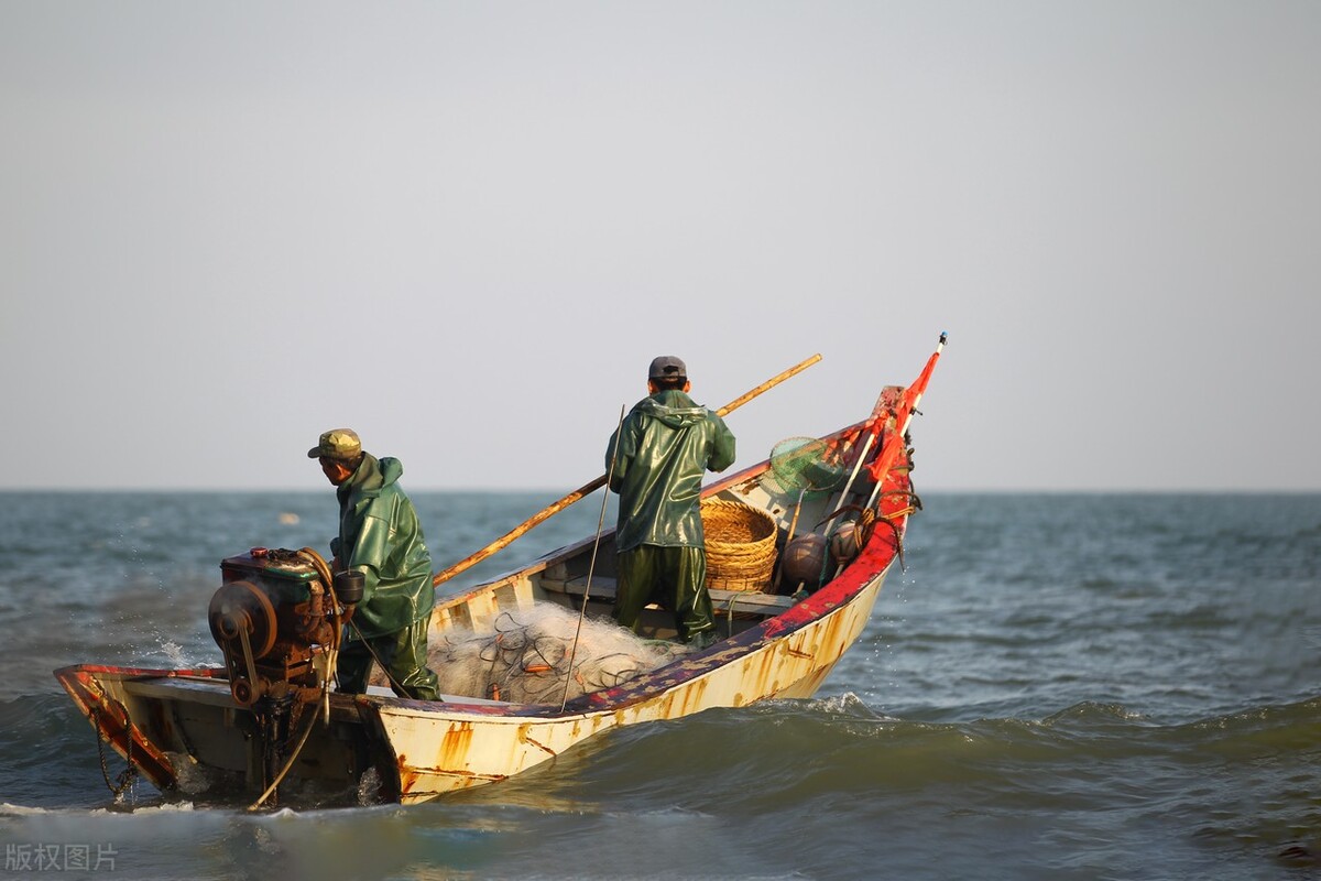 中国渔民，本土硬核团体