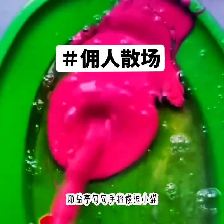 佣人小说推荐,佣人小说免费观看