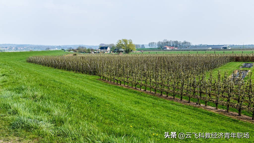 波兰民众抢购煤炭案件视频,波兰民众熬夜排队购煤