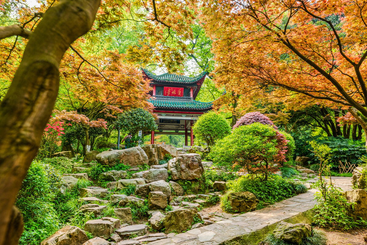 长沙有历史文化气息的有哪些地方,长沙五区历史文化名城有哪些