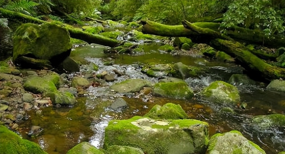 新英格兰地区有哪些,新英格兰地区版图